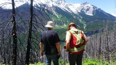 Baldwin plants trees around the world