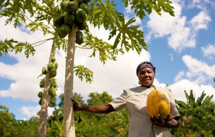 Baldwin works together with One Tree Planted & donates trees 